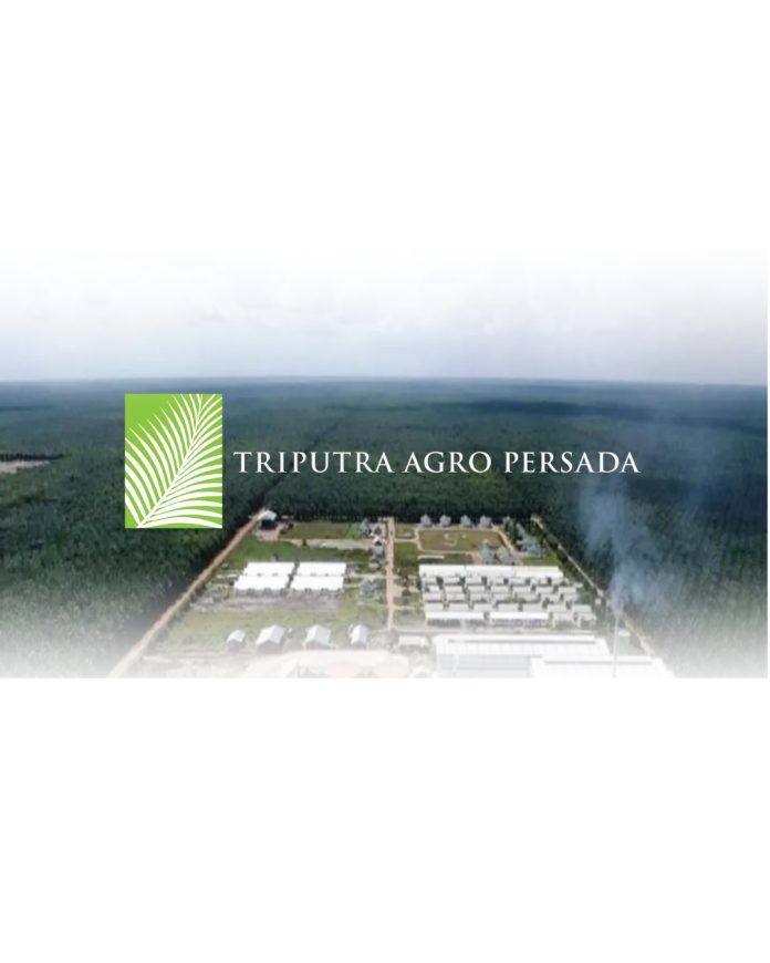 Thumbnail artikel TAPG